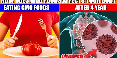 The Impact of GMOs on Our Access to Healthy Food
